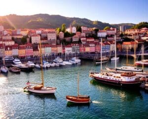 Porto: geniet van de kleurrijke haven en portwijnen