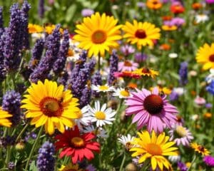 Welke bloemen trekken de meeste bijen aan?