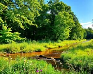 Hoe natuur en frisse lucht stress verlichten