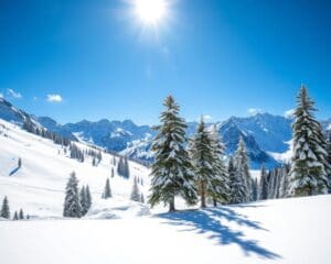 Saas-Almagell: Rustig skiën in Zwitserse natuur