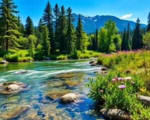 Schoon water: hoe verbetert het je gezondheid?