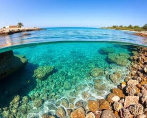 Verken de Beschermde Gebieden bij Marsa Alam