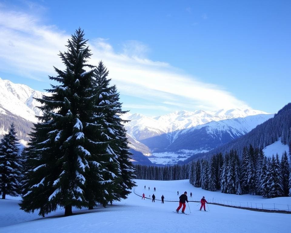 skiën in Ramsau