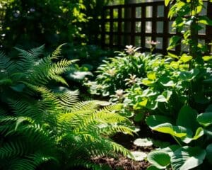 De beste schaduwplanten voor een tuin zonder veel zon