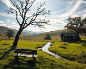 Kun je genieten van eenvoudiger leven?