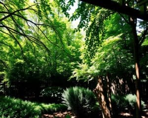 Hoe breng je schaduw met natuurlijke oplossingen?