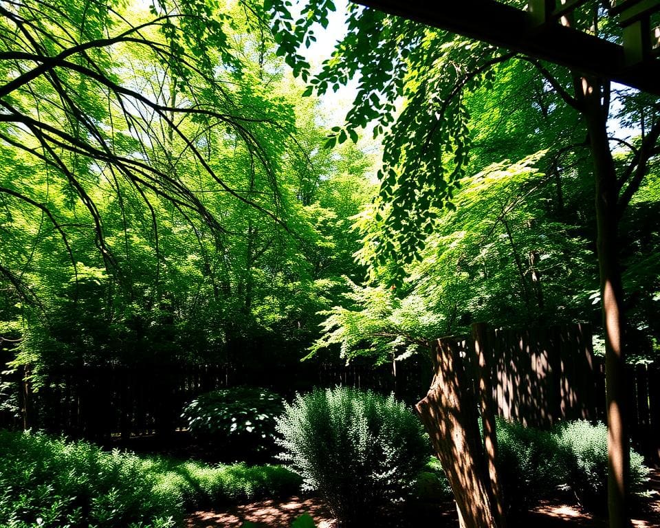 Hoe breng je schaduw met natuurlijke oplossingen?