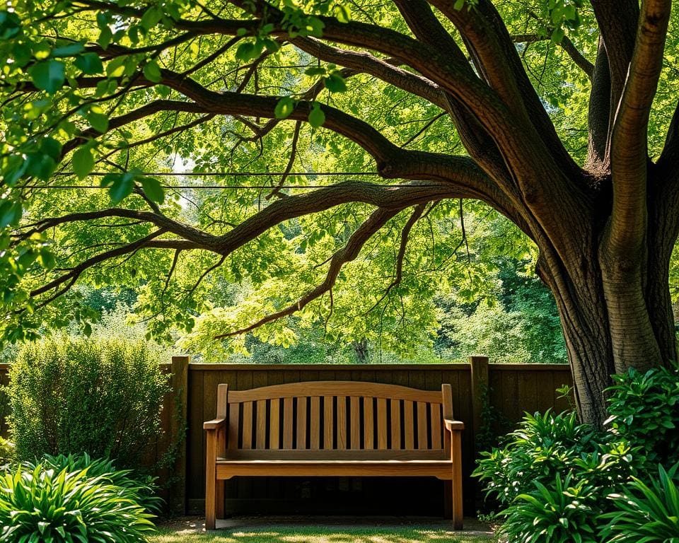 Wat zijn de voordelen van een tuinbank onder een boom?